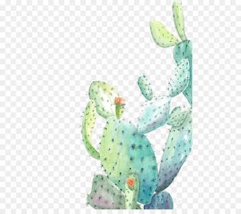 Cactaceae Watercolor painting Illustration - Watercolor cactus 