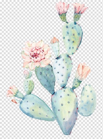 Cactaceae Watercolor painting Saguaro, Hand painted watercolor cactus, green cactus illustrarion transparent background PNG clipart