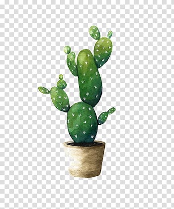 Cactaceae Watercolor painting Succulent plant Drawing, cactus, cactus illustration transparent background PNG clipart