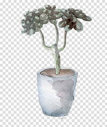 Cactaceae Watercolor painting Succulent plant Illustration, Gray cactus transparent background PNG clipart
