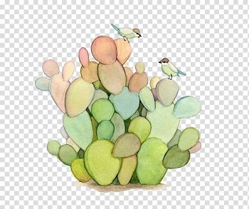 Cactaceae Watercolor painting Succulent plant Prickly pear, Bird on cactus transparent background PNG clipart