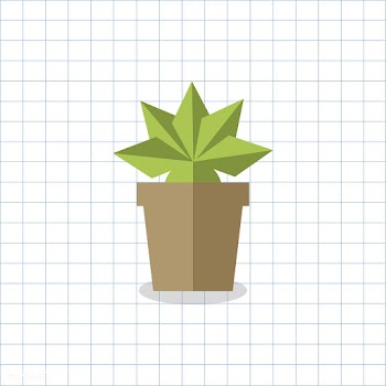Cacti cactus colorful | Free stock vector - 250645