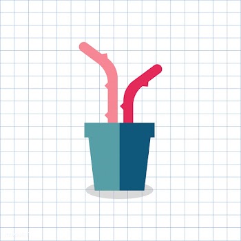 Cacti cactus colorful | Free stock vector - 250715