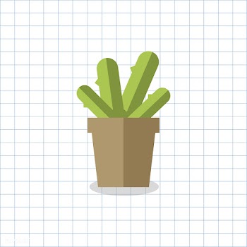 Cacti cactus colorful | Free stock vector - 250792