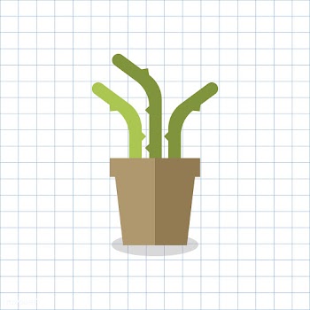 Cacti cactus cute | Free stock vector - 250636