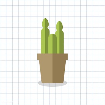Cacti cactus cute | Free stock vector - 250677