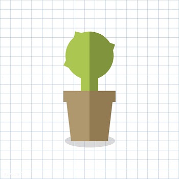 Cacti cactus cute | Free stock vector - 250678