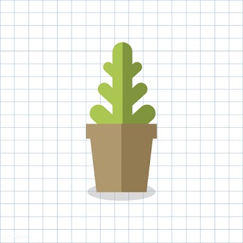 Cacti cactus cute | Free stock vector - 250719