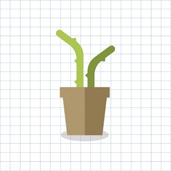 Cacti cactus cute | Free stock vector - 250748