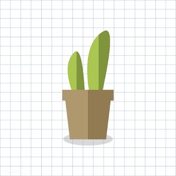 Cacti cactus cute | Free stock vector - 250756