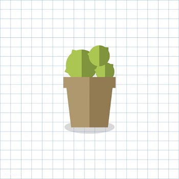 Cacti cactus cute | Free stock vector - 250775