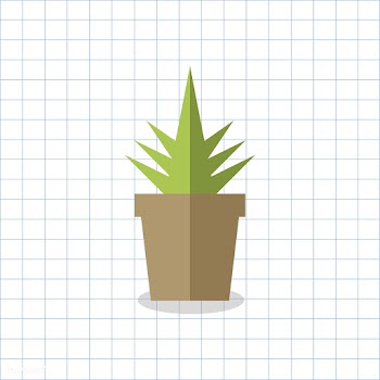 Cacti cactus cute | Free stock vector - 250780