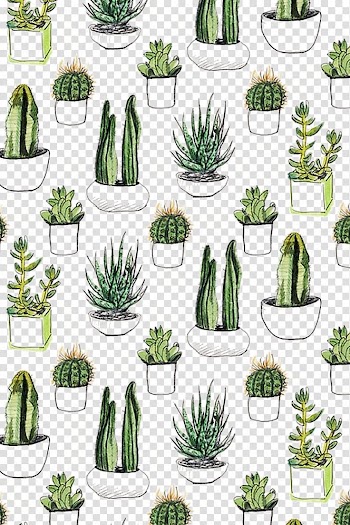 Cacti illustration, Paper Cactaceae Cacti & Succulents Printmaking Succulent plant, Cactus background shading transparent background PNG clipart