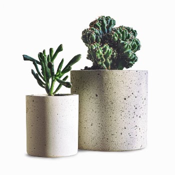 Cactus and succulent  collage | Free PSD - rawpixel