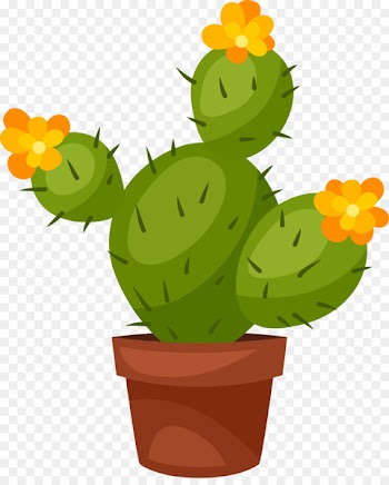Cactus and Succulents Succulent plant Pachypodium lamerei Succulents and Cactus - cacti 
