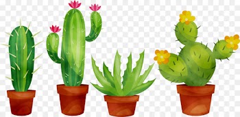 Cactus Clip art Portable Network Graphics Succulent plant -  