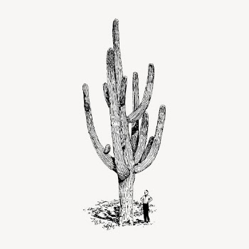 Cactus clipart, vintage desert plant | Free Vector - rawpixel