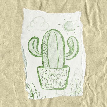 Cactus doodle sticker, ripped paper | Free Vector - rawpixel