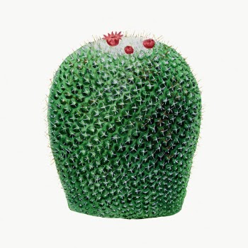 Cactus drawing, vintage botanical illustration | Free Photo Illustration - rawpixel