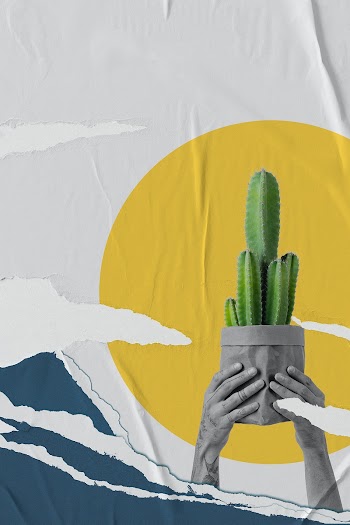 Cactus houseplant retro collage remix with… | Free stock illustration | High Resolution graphic
