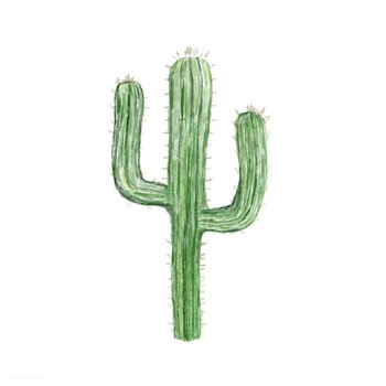 Cactus icon | Free stock vector - 381780