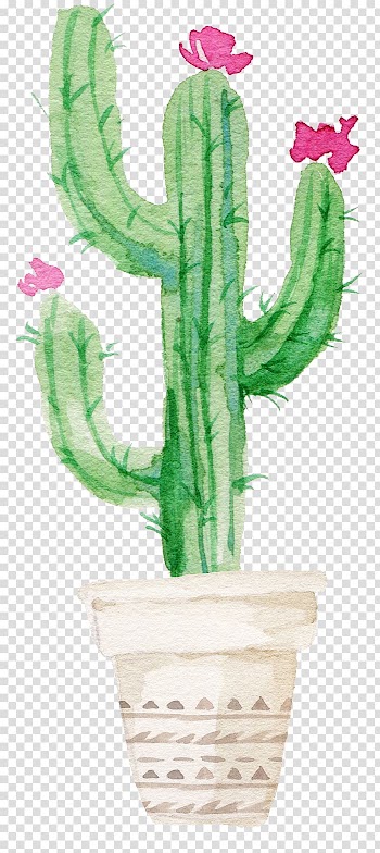 Cactus illustration, Cactaceae Succulent plant Watercolor painting Printmaking, Sen Department aesthetic cactus transparent background PNG clipart