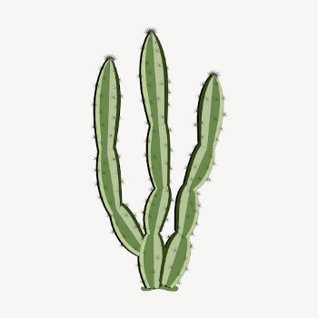 Cactus illustration. Free public domain | Free Photo - rawpixel