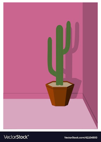 cactus in pink