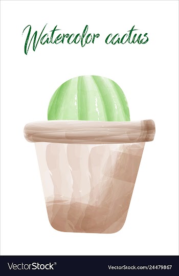 Cactus isolated on white background watercolor vector image