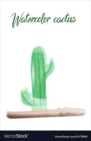 Cactus isolated on white background watercolor vector image