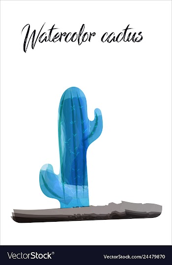 Cactus isolated on white background watercolor vector image