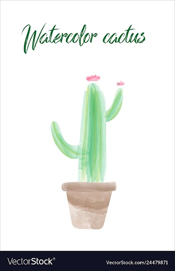Cactus isolated on white background watercolor vector image