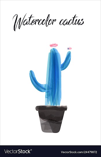 Cactus isolated on white background watercolor vector image