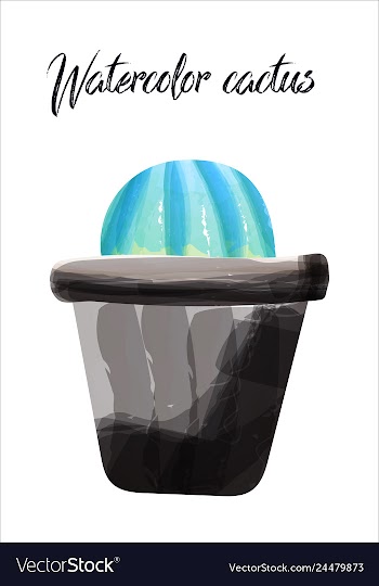 Cactus isolated on white background watercolor vector image