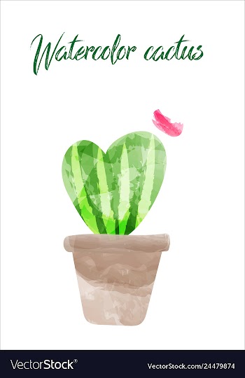 Cactus isolated on white background watercolor vector image