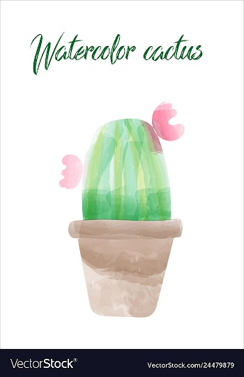 Cactus isolated on white background watercolor vector image