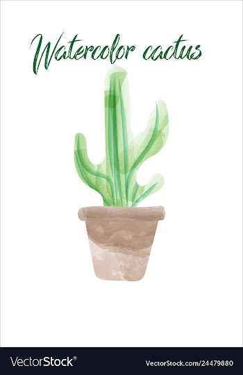 Cactus isolated on white background watercolor vector image