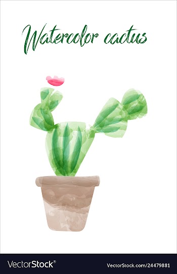 Cactus isolated on white background watercolor vector image