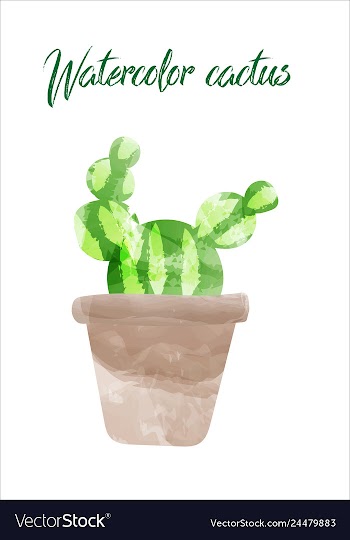 Cactus isolated on white background watercolor vector image