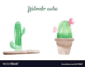 Cactus isolated on white background watercolor vector image
