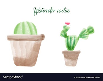 Cactus isolated on white background watercolor vector image