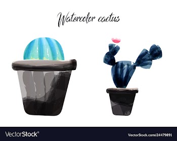Cactus isolated on white background watercolor vector image