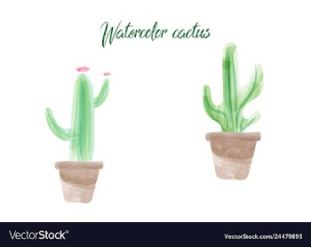 Cactus isolated on white background watercolor vector image