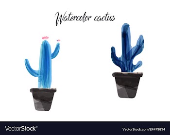 Cactus isolated on white background watercolor vector image