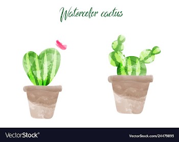 Cactus isolated on white background watercolor vector image