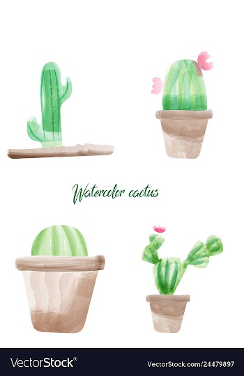 Cactus isolated on white background watercolor vector image