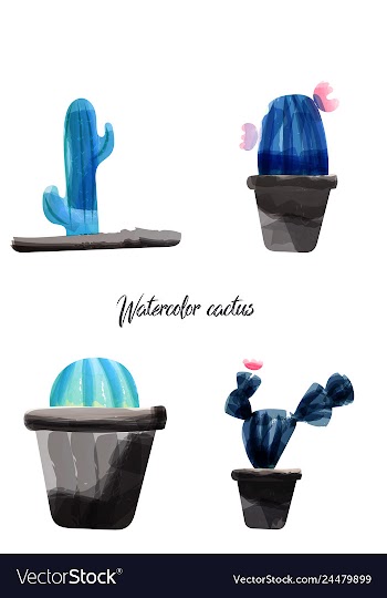 Cactus isolated on white background watercolor vector image