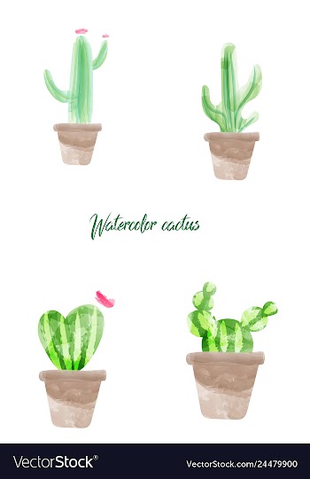 Cactus isolated on white background watercolor vector image