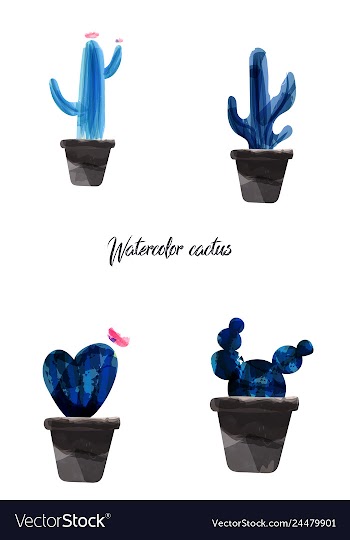 Cactus isolated on white background watercolor vector image
