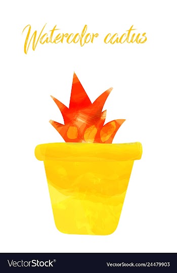 Cactus isolated on white background watercolor vector image